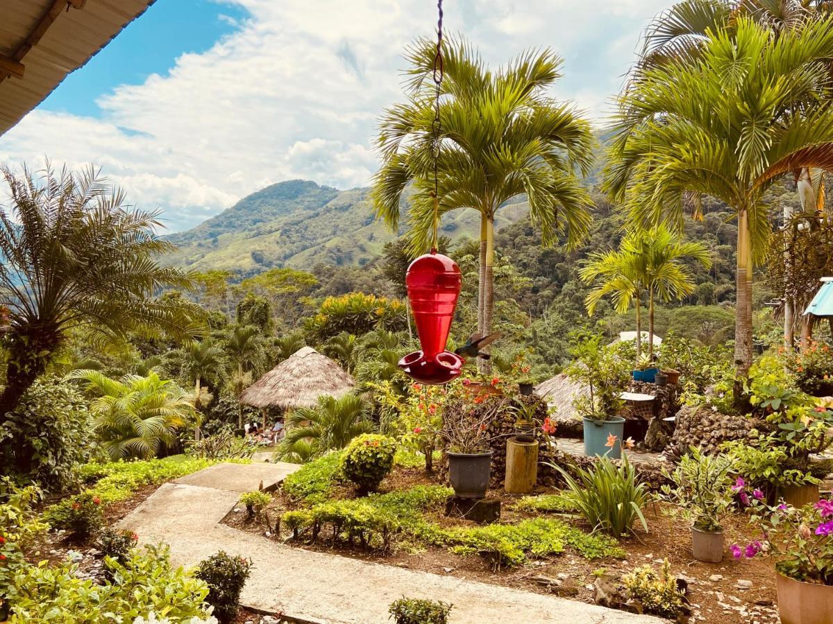 Ecohotel Campo Alegre Norcasia Caldas Kültér fotó